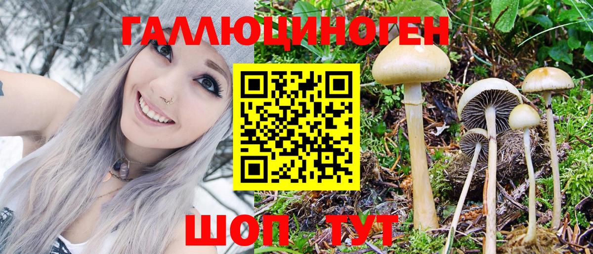 Будённовск  Галлюциногенные грибы GOLDEN TEACHER  Вход с VPN 
